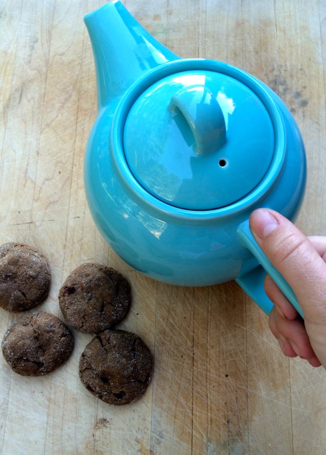 Camp Cookies | Blue Owl Treats