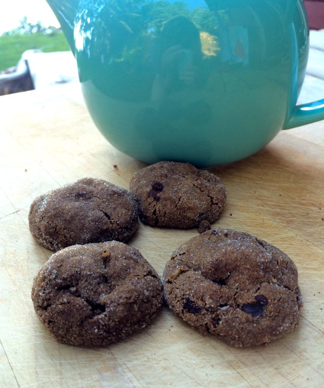 Camp Cookies | Blue Owl Treats