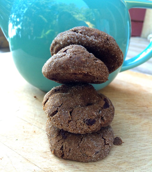 Camp Cookies | Blue Owl Treats