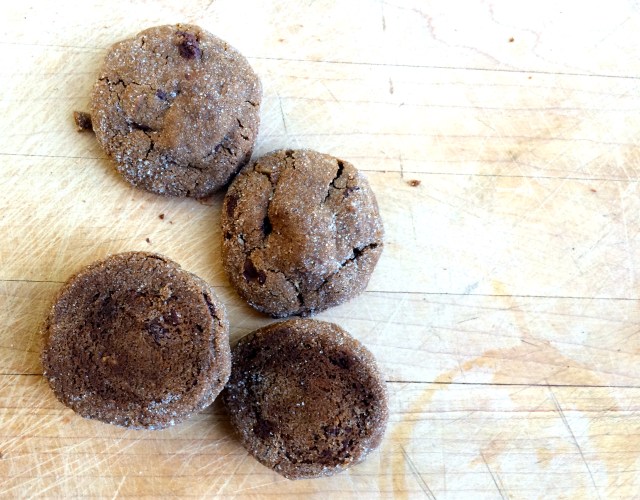 Camp Cookies | Blue Owl Treats