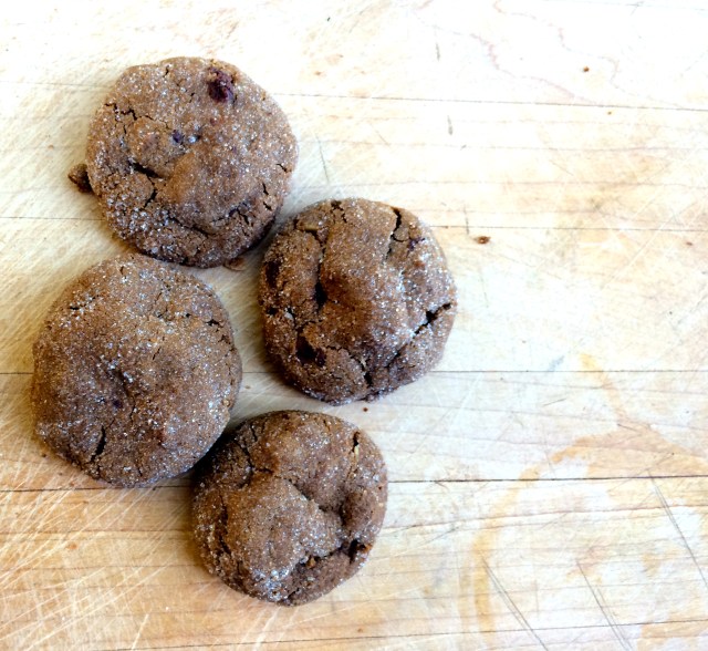 Camp Cookies | Blue Owl Treats