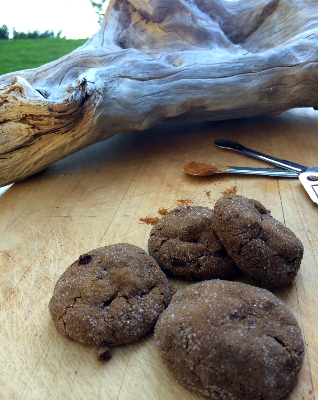 Camp Cookies | Blue Owl Treats