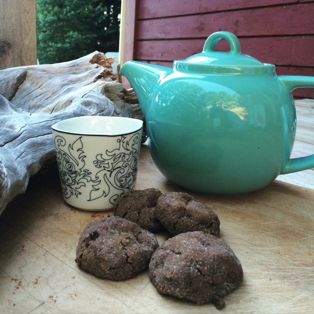 Camp Cookies | Blue Owl Treats