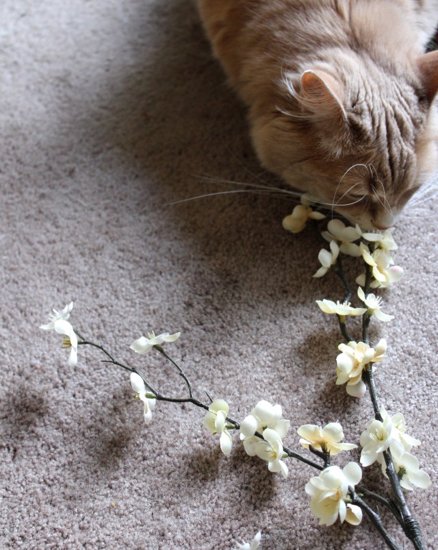 DIY Flower Crown